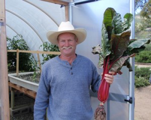 Lane McClelland, Backyard Aquafarms, holding a single head of Swiss Chard grown in a Portable Farmsâ„¢ Aquaponics System