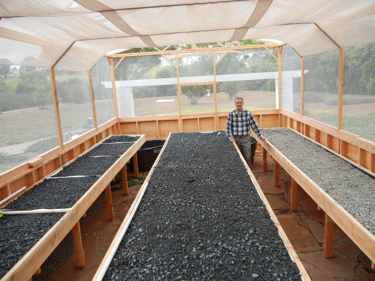  Aquaponics System before the seedlings or the small fish have been