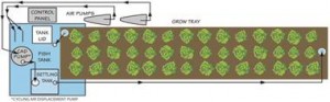 This is a simple diagram of a Portable Farms Aquaponics System
