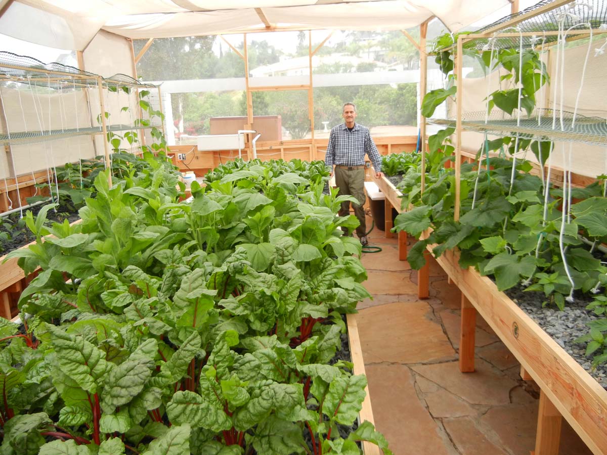 Become a Millionaire on One Acre with Aquaponics