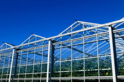 Building a Aquaponic Greenhouse