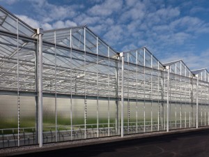greenhouse large