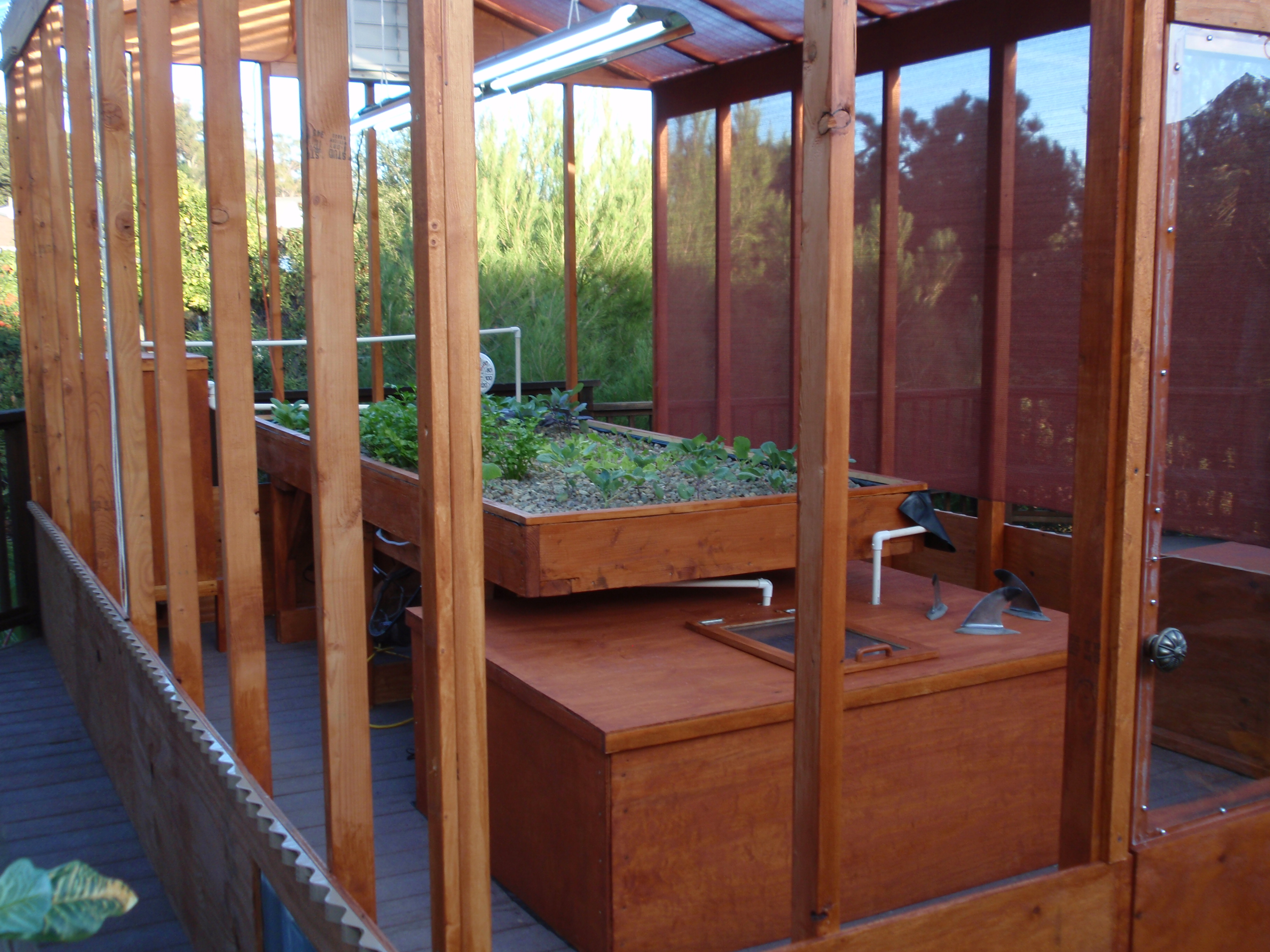 Master Aquaponics to Develop Your Personal Meals in Your Backyard