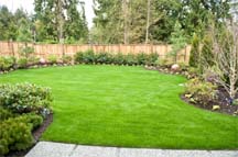 Simple Back Yard Landscaping Ideas