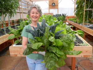 Phyllis Davis harvesting greens for a luncheon. That's was one heck-of-a-salad. Yum.