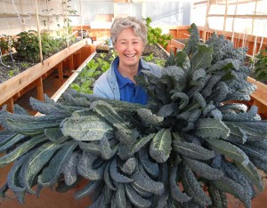 Phyllis Davis, Co-Inventor of Portable Farms® Aquaponics Systems holding 8 heads of kale just harvested from a Portable Farm. The average height of these kale is 47". Monster kale!