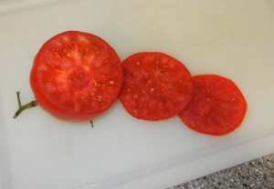 When was the last time YOU saw a tomato that was red all the way to its core? If you had a Portable Farms® Aquaponics System, you could enjoy these delicious tomatoes year round.