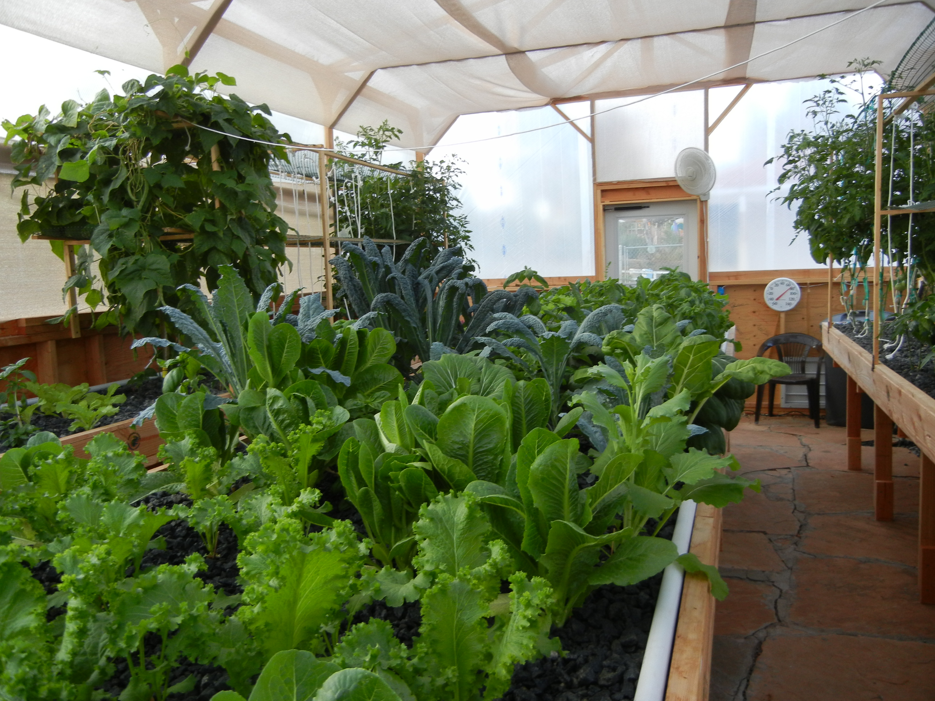 Aquaponics Training Curriculum for Portable Farms®