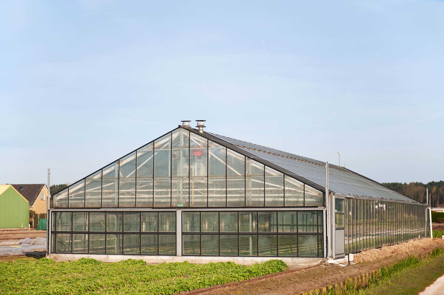 A Millionaire on One Acre with Aquaponics