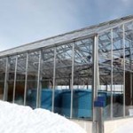 greenhouse snow