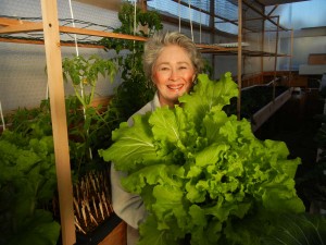 Phyllis Davis harvesting Tokyo Bakana, an Asian Herb we use as a great lettuce for salads. Delicious and easy to grow in aquaponics.