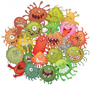 The accumulation of bacteria