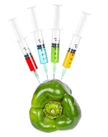 green pepper syringes 2