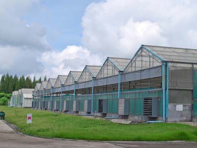 Commercial Aquaponics