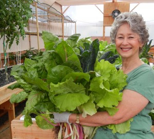 Phyllis Davis, Co-Inventor, Harvesting fresh greens from their Portable Farms.