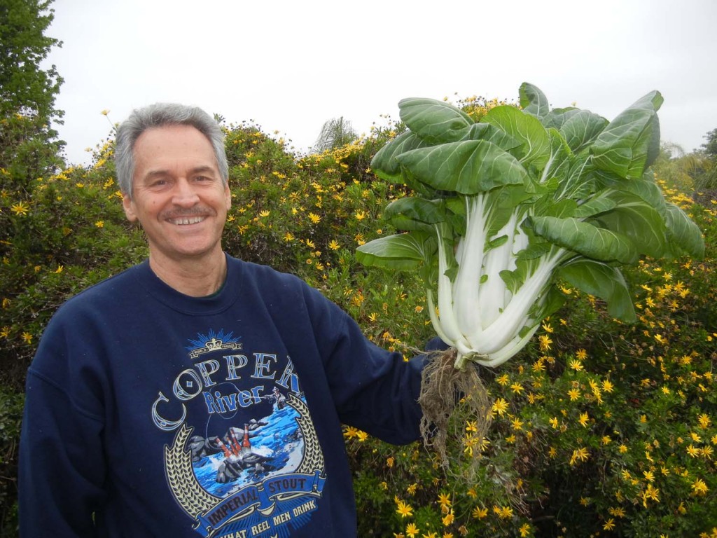 What kind of fish can be grown in aquaponics See inside a luxurious beachfront house with its own helipad on South Australia's York Peninsula