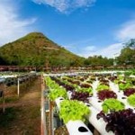 aquaponics from portable farms® aquaponics systems