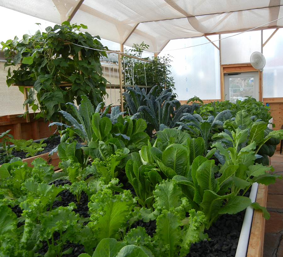 Aquaponics with Portable Farms® Aquaponics Systems