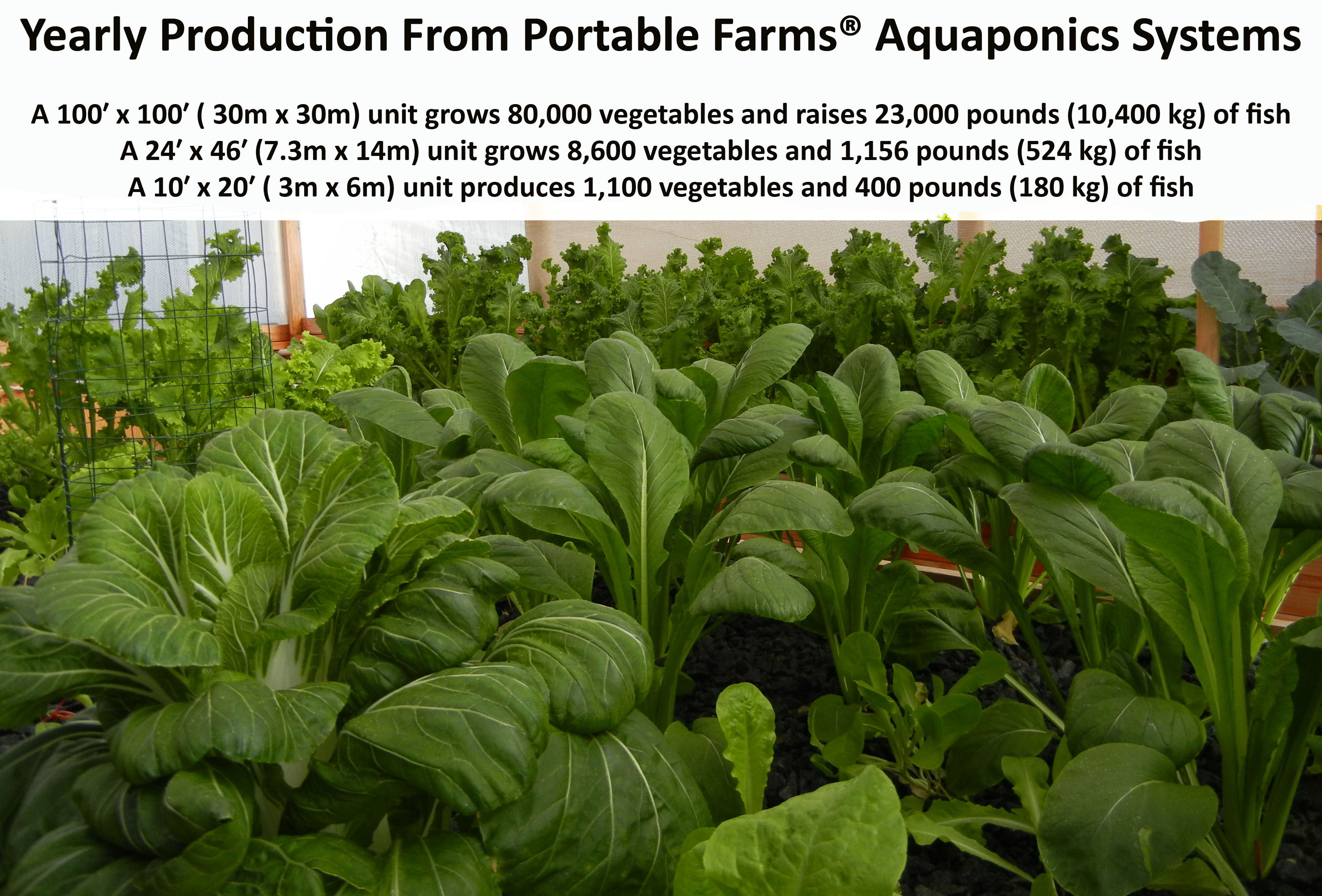 Aquaponics with Portable Farms® Aquaponics Systems