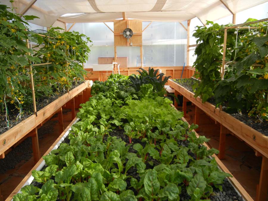 Portable Farms® Aquaponics Systems