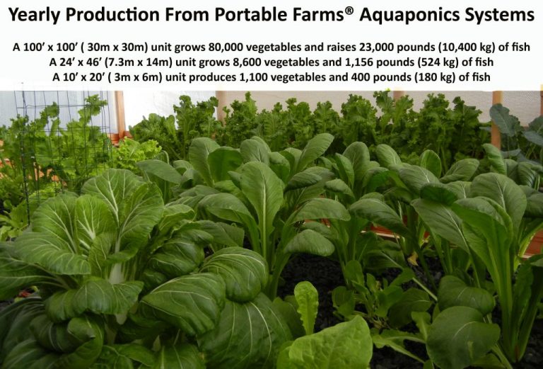 Can you grow kale in aquaponics Urban Farming Is the Future of Agriculture