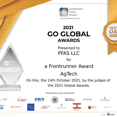 GoGlobal Award Certificate